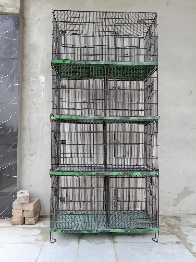 Master Cage Birds Cage — photo 2