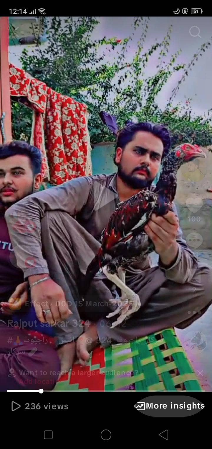 مناسب قیمت 0
