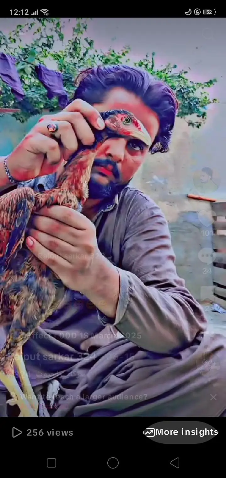 مناسب قیمت — photo 4