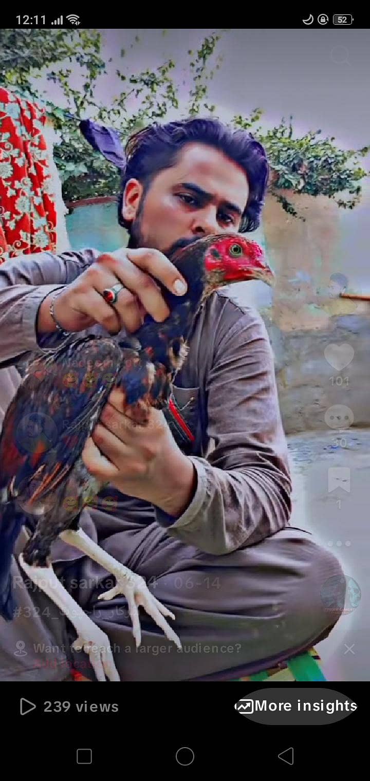 مناسب قیمت 4