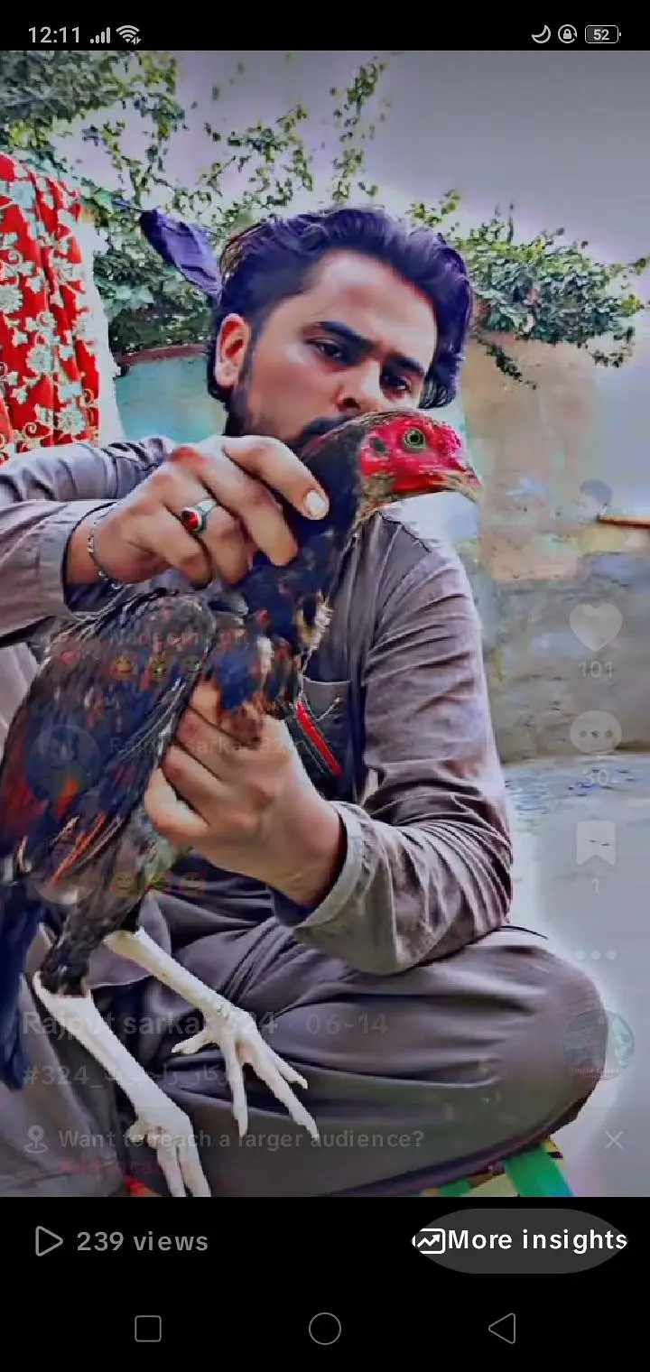مناسب قیمت — photo 5