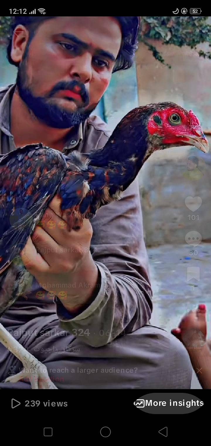 مناسب قیمت 5