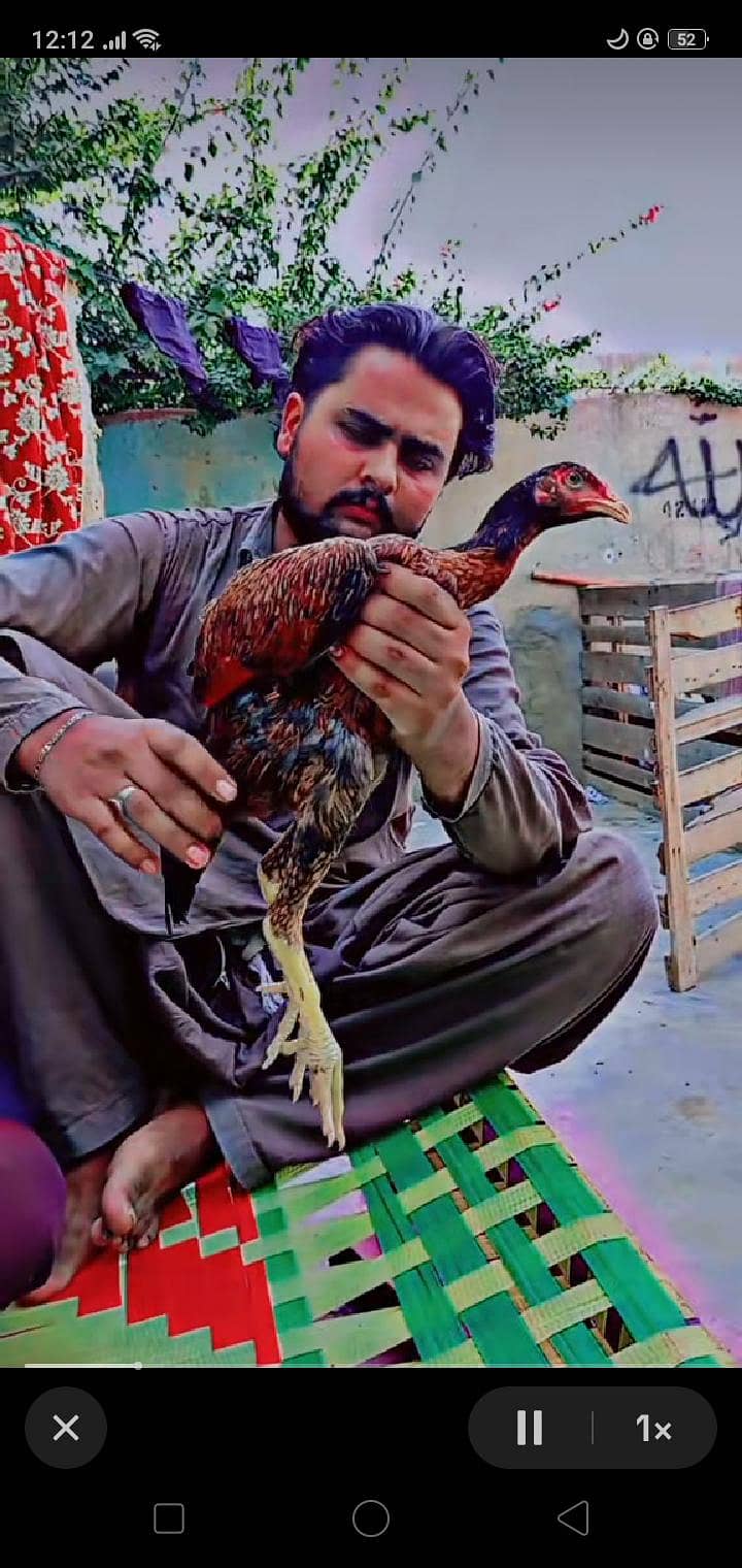 مناسب قیمت 6