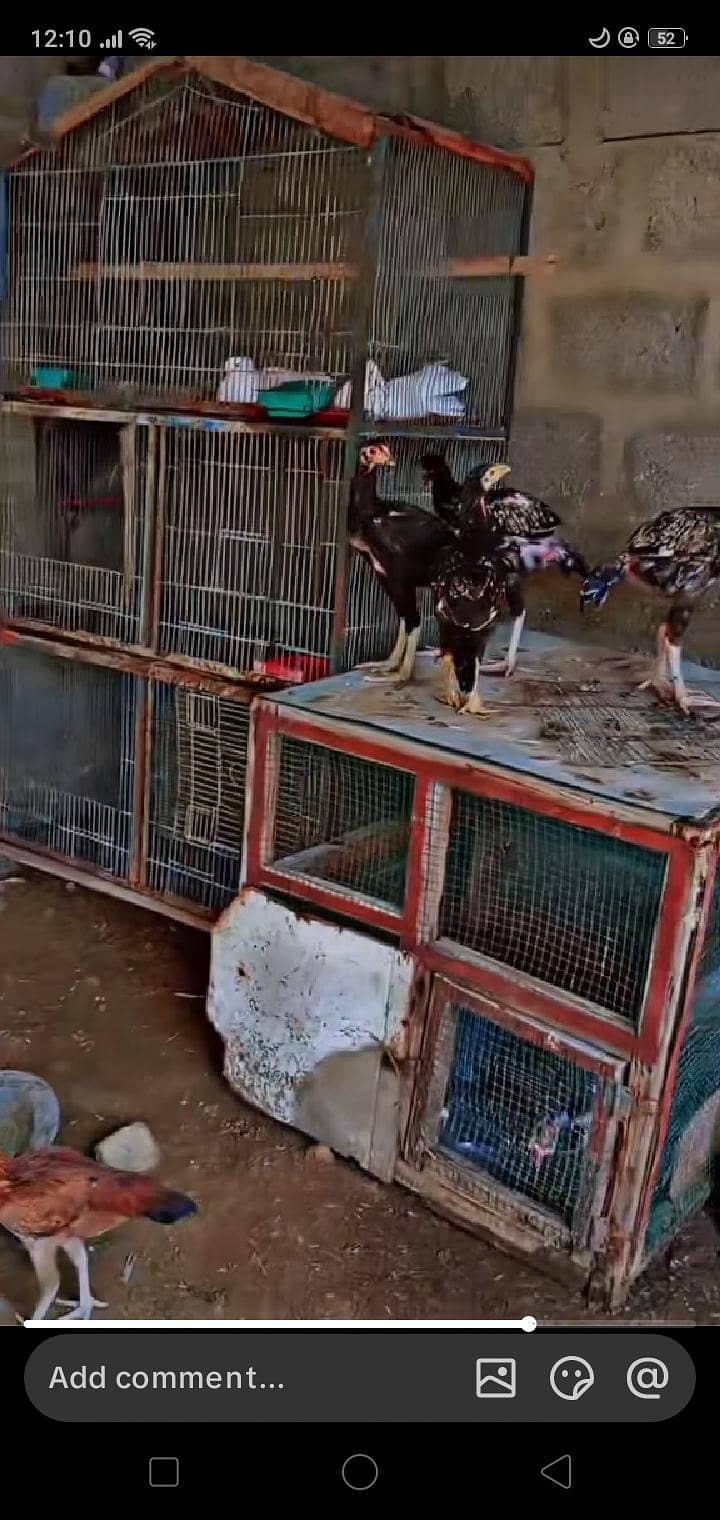 مناسب قیمت 8