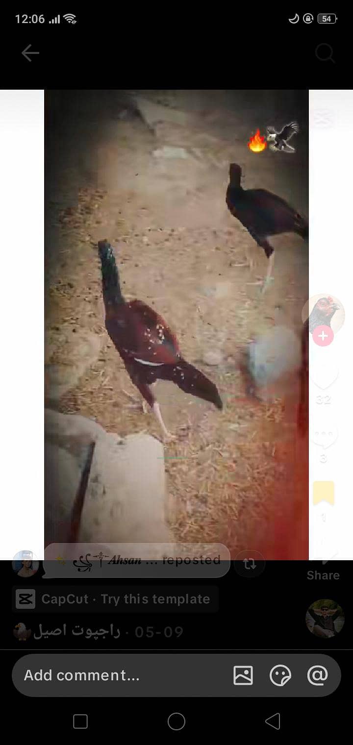 مناسب قیمت 12