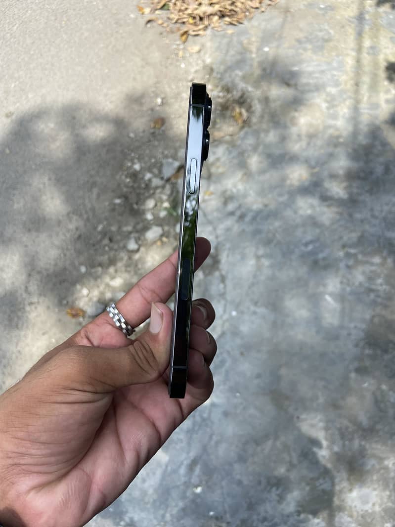 Apple iPhone 13 Pro Max 1