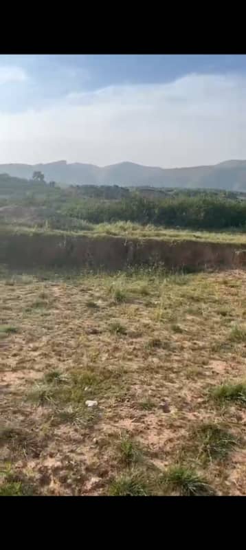 C-15 50/90 Plot For Sale Cutting Area