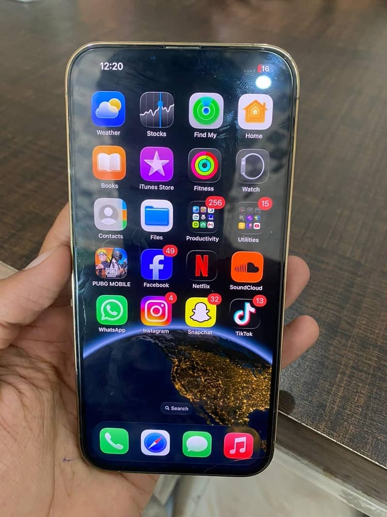 Apple iPhone 13 Pro Max 1