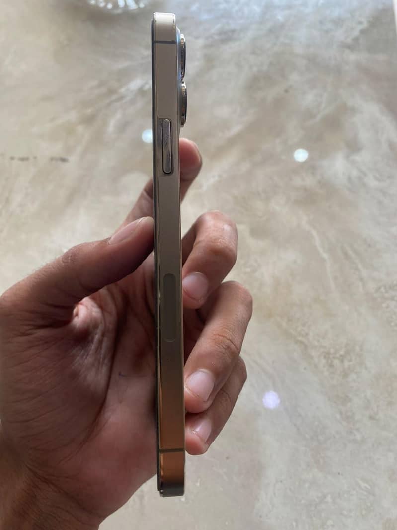 Apple iPhone 13 Pro Max 3