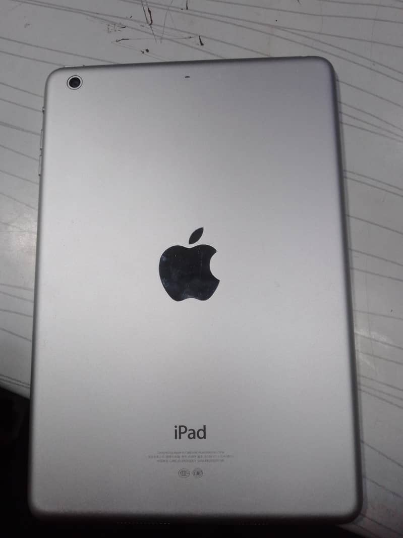 ipadmini2 3
