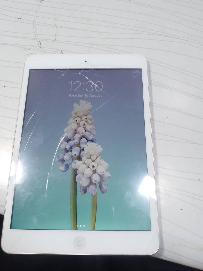 ipadmini2 4