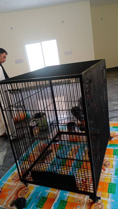 Flying Cage Birds