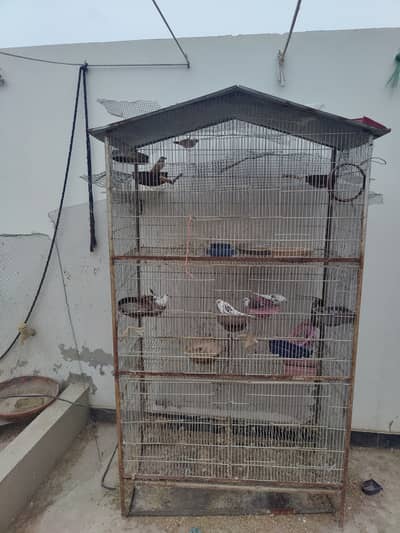 5 portion cage