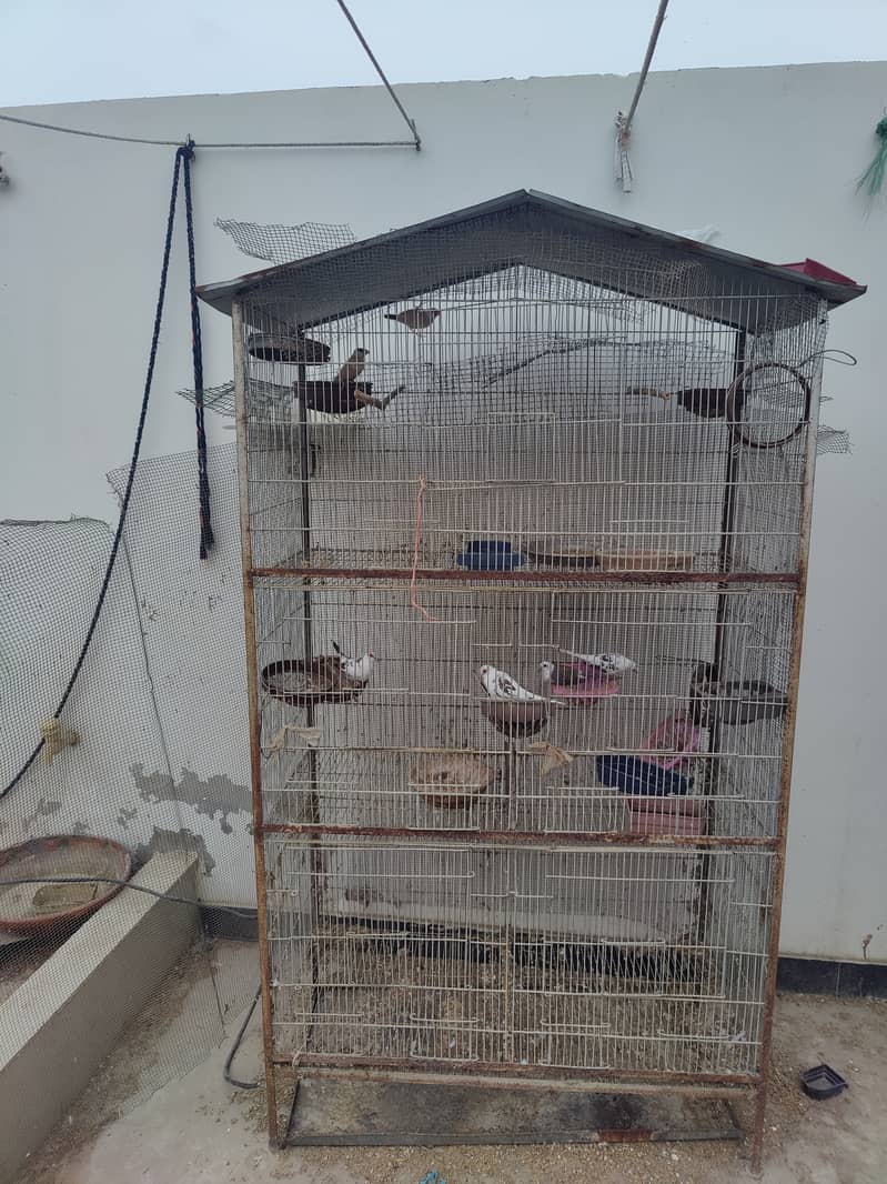5 portion cage 0