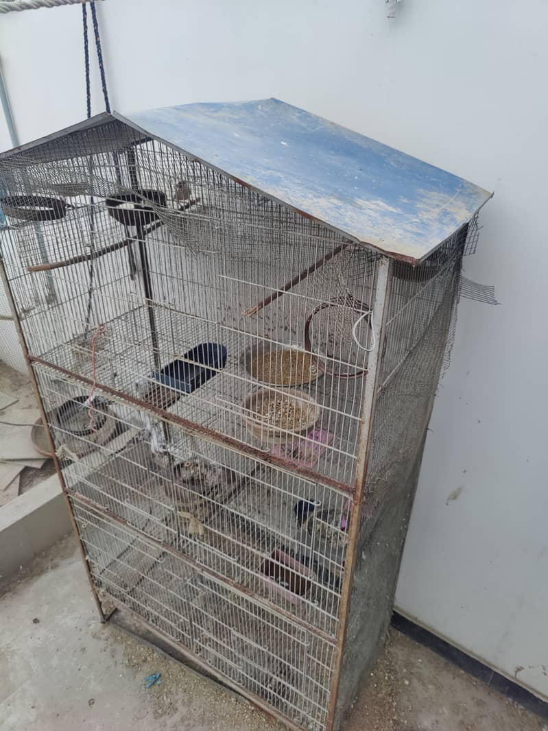 5 portion cage 2