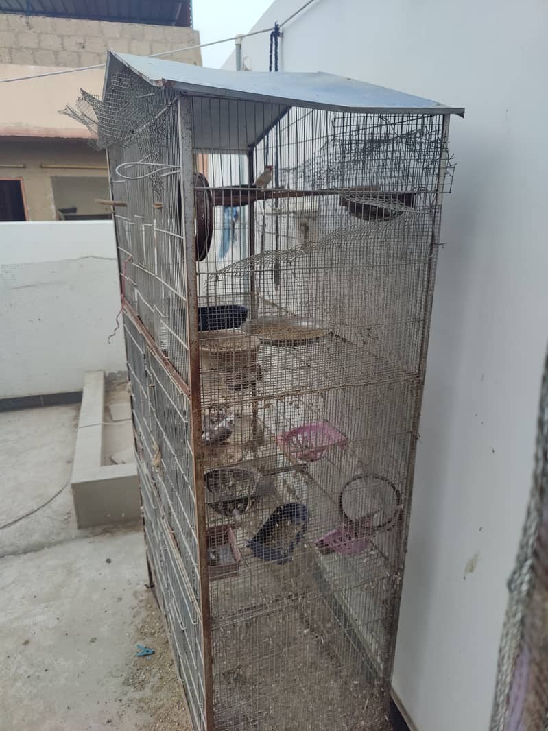 5 portion cage 4