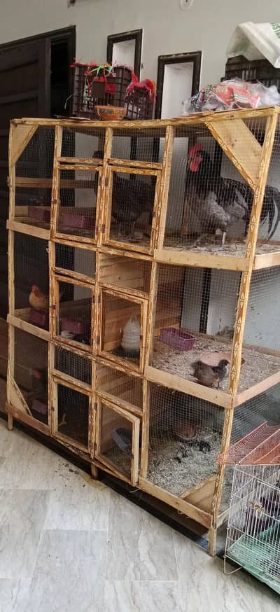 Cagers For Hens And Other Birds