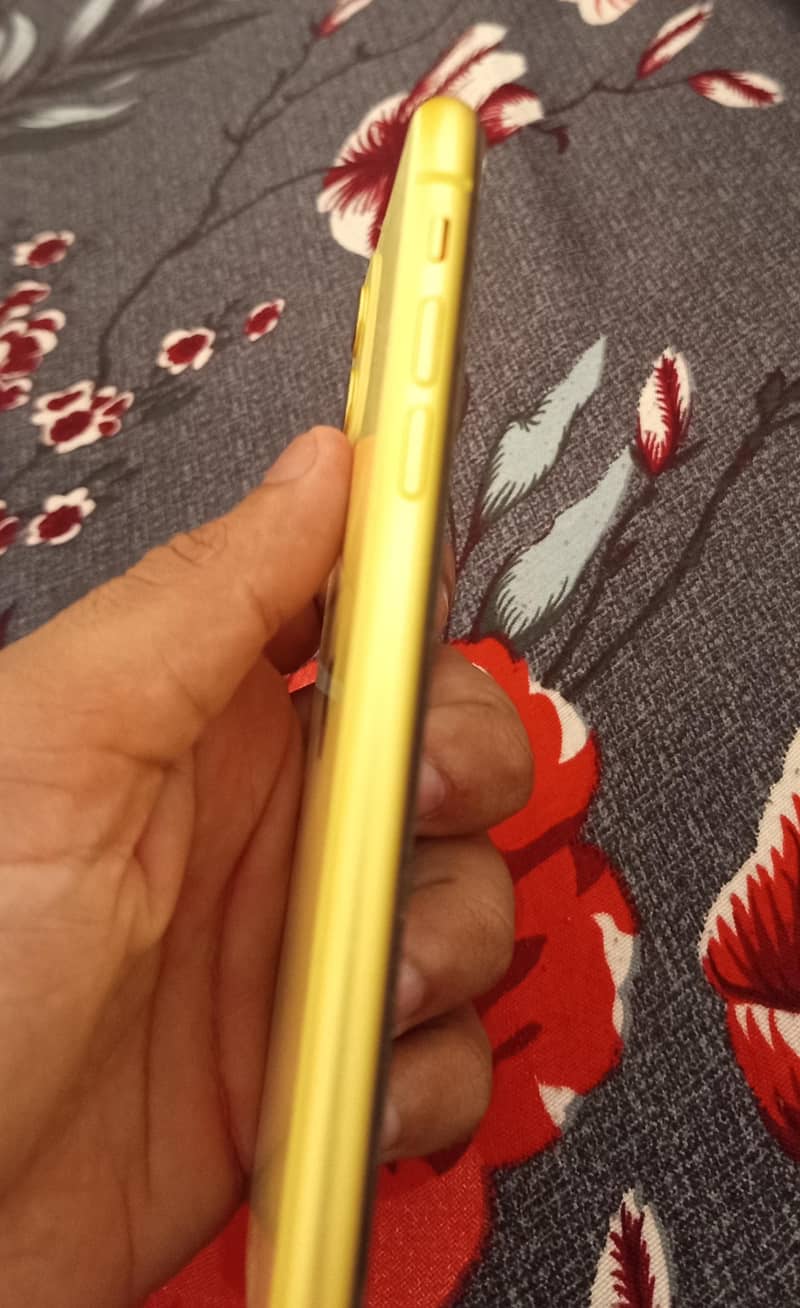 Apple iPhone 11 1
