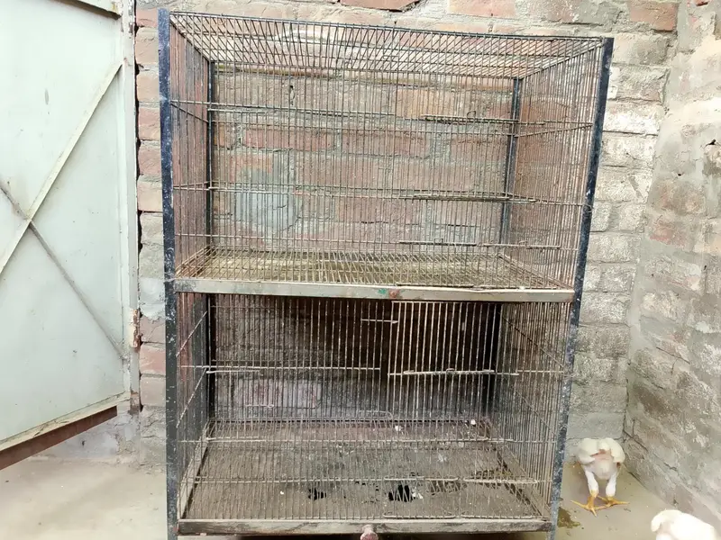 cage dubbel portion — photo 2