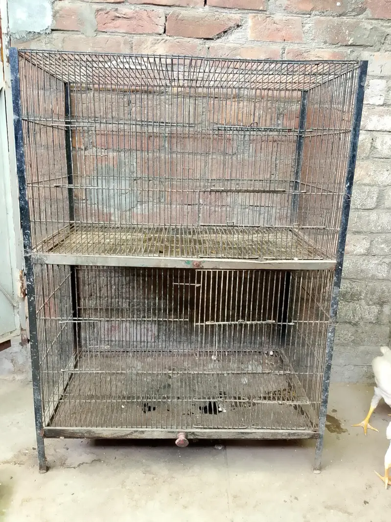 cage dubbel portion — photo 3