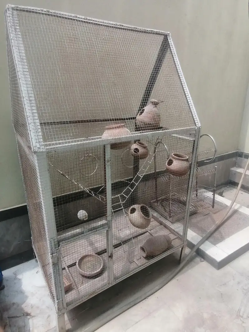 Cage for birds — photo 2