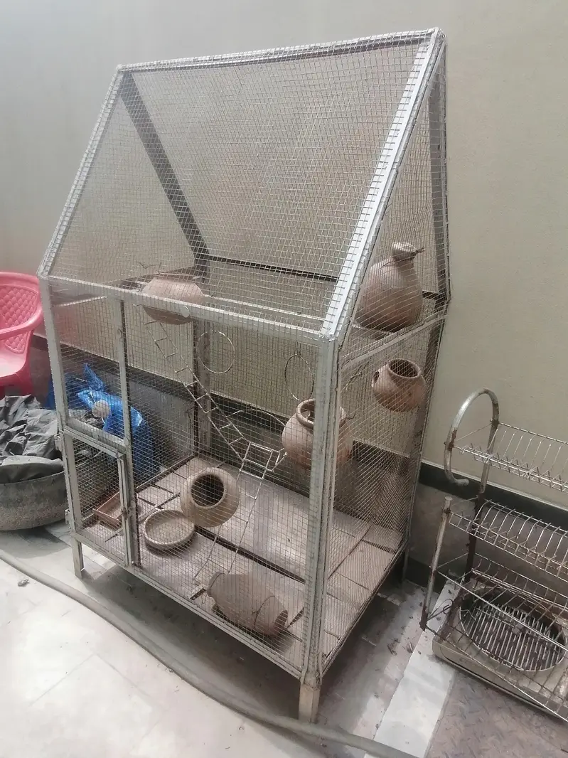 Cage for birds — photo 3