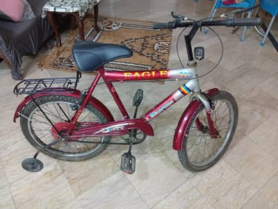 Eagle Supreme 20 Inch Kids Cycle with Training Wheel & Carrier