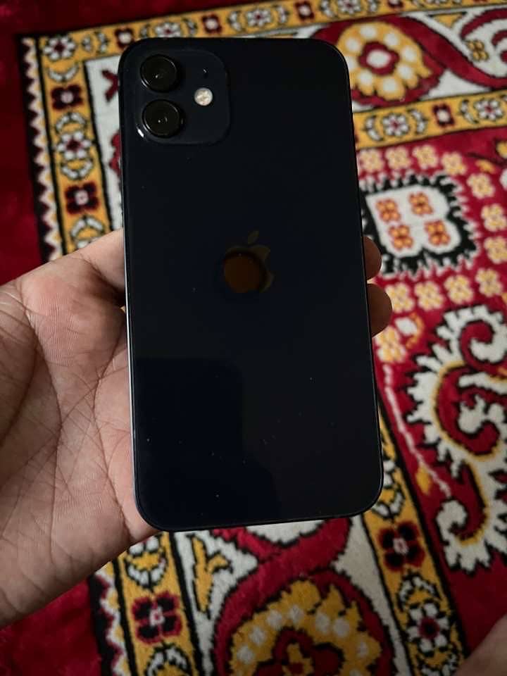 Apple iPhone 12 1
