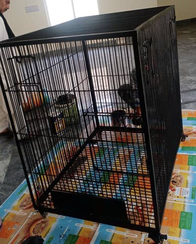 Bird Flying Cage