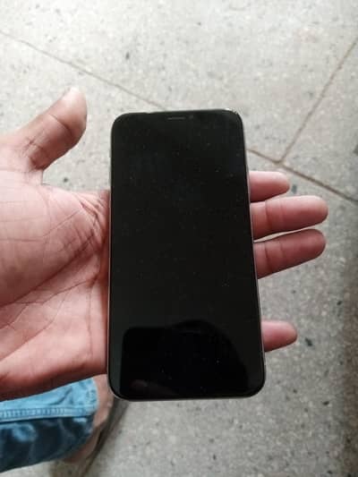 Apple iPhone X