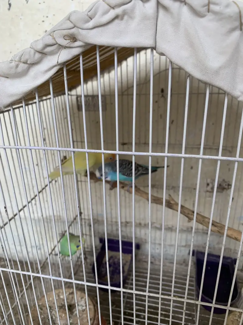 Ek pair he or ek single — photo 3