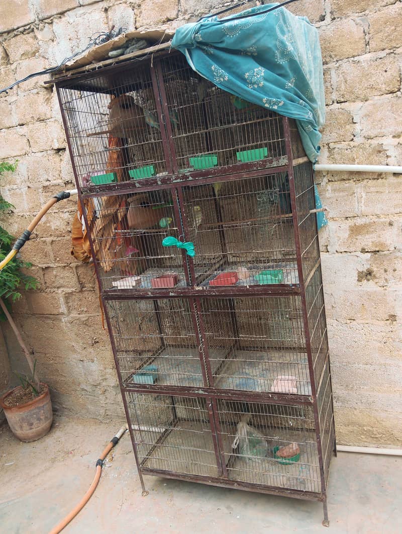 8 portion cage 0