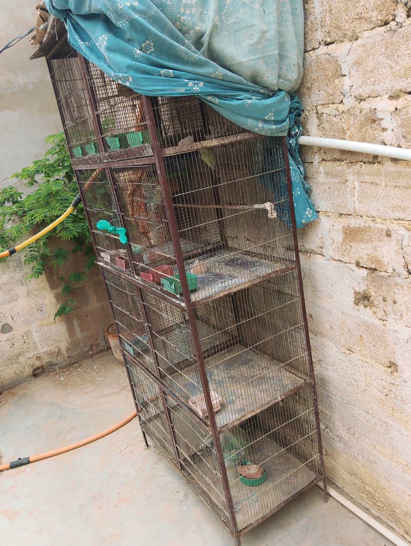 8 portion cage 1