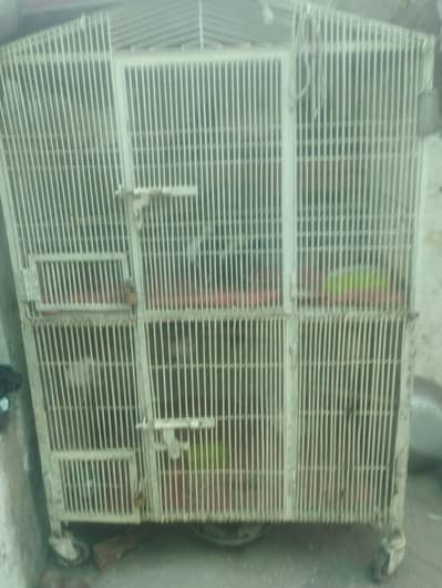 cage salf made ha