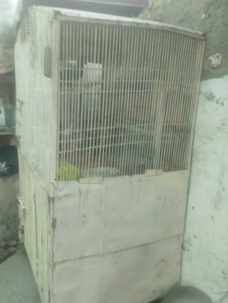 cage salf made ha — photo 3