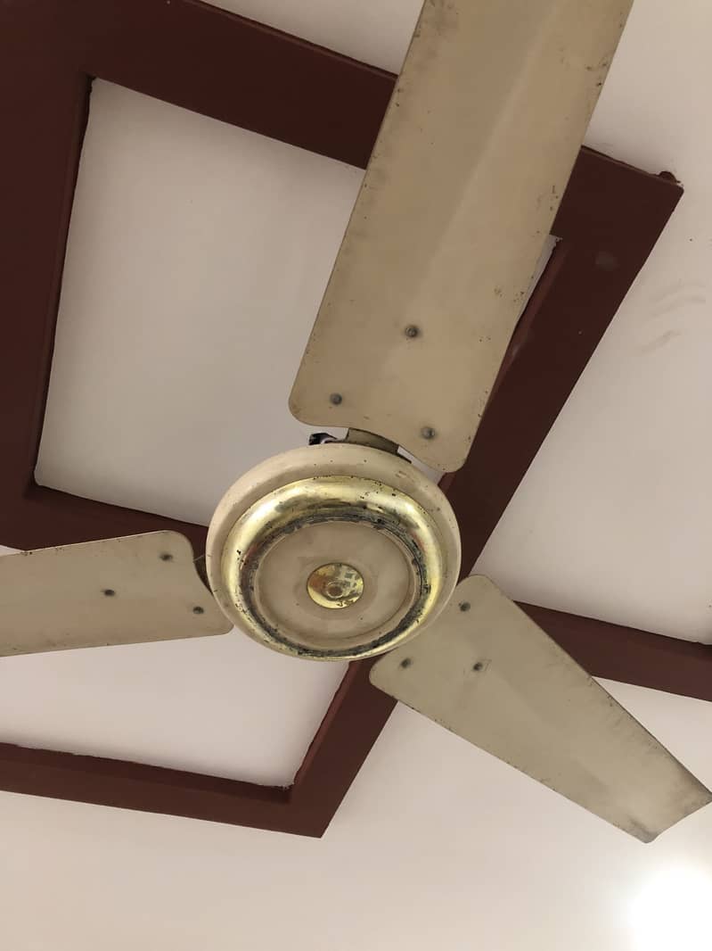 Ceiling Fan 2
