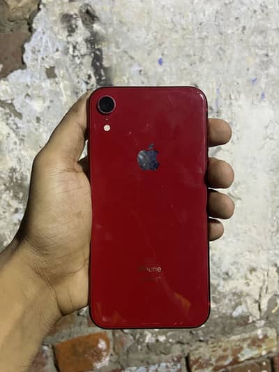 iPhone xr