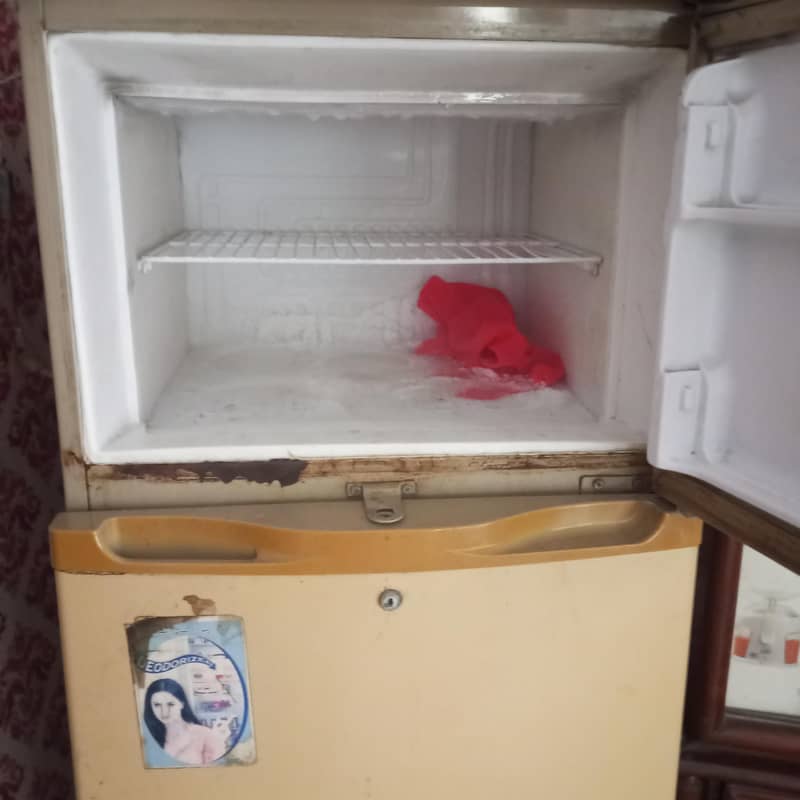 waves refrigerator 4