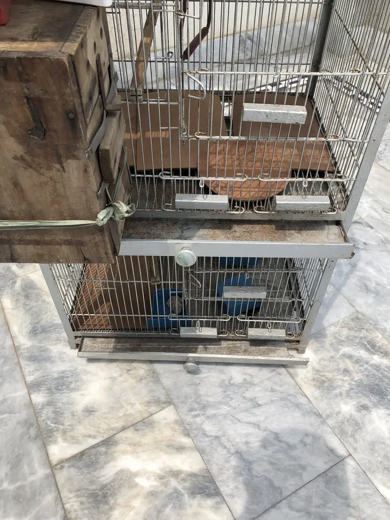 {03076293750}. 3 portion cage for birds heavy iron metal cage — photo 5