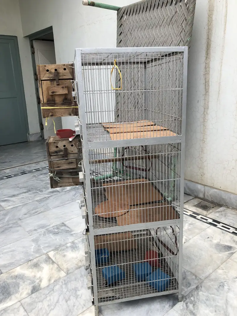 {03076293750}. 3 portion cage for birds heavy iron metal cage — photo 7