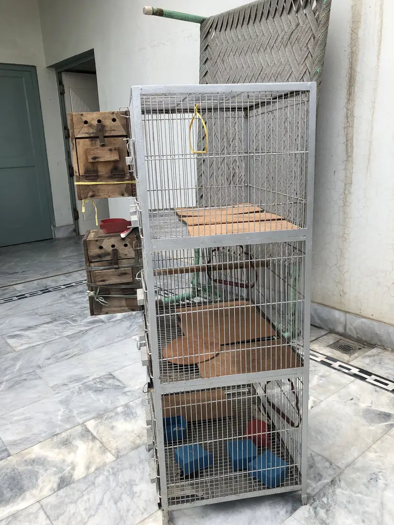 {03076293750}. 3 portion cage for birds heavy iron metal cage — photo 9