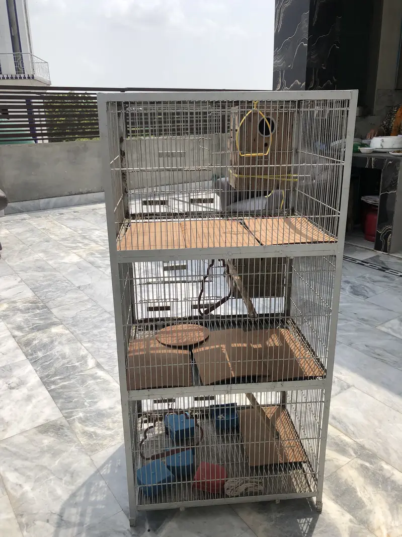 {03076293750}. 3 portion cage for birds heavy iron metal cage — photo 11