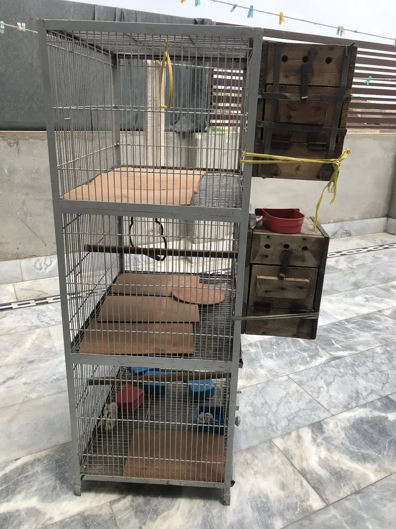 {03076293750}. 3 portion cage for birds heavy iron metal cage — photo 12