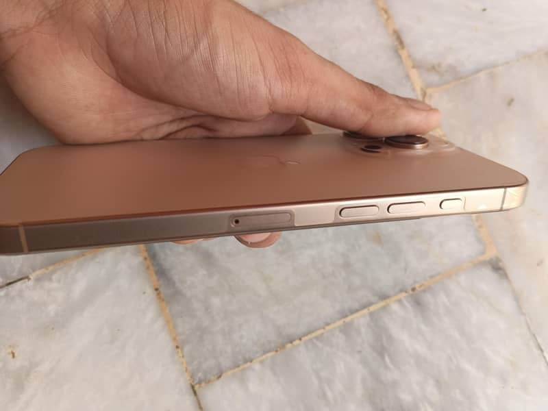 Apple iPhone 16 Pro Max 1
