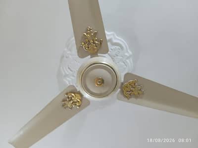 2 GFC + 2 Royal Ceiling Fans 56 Inch