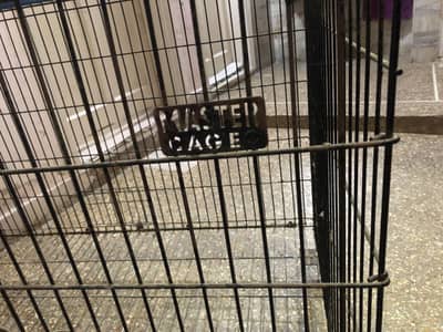 Master Cage