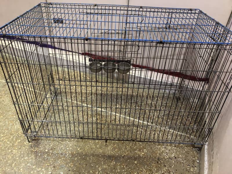 Master Cage 1