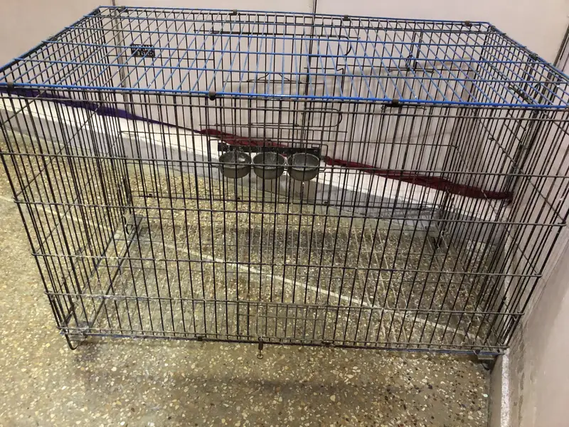 Master Cage — photo 2