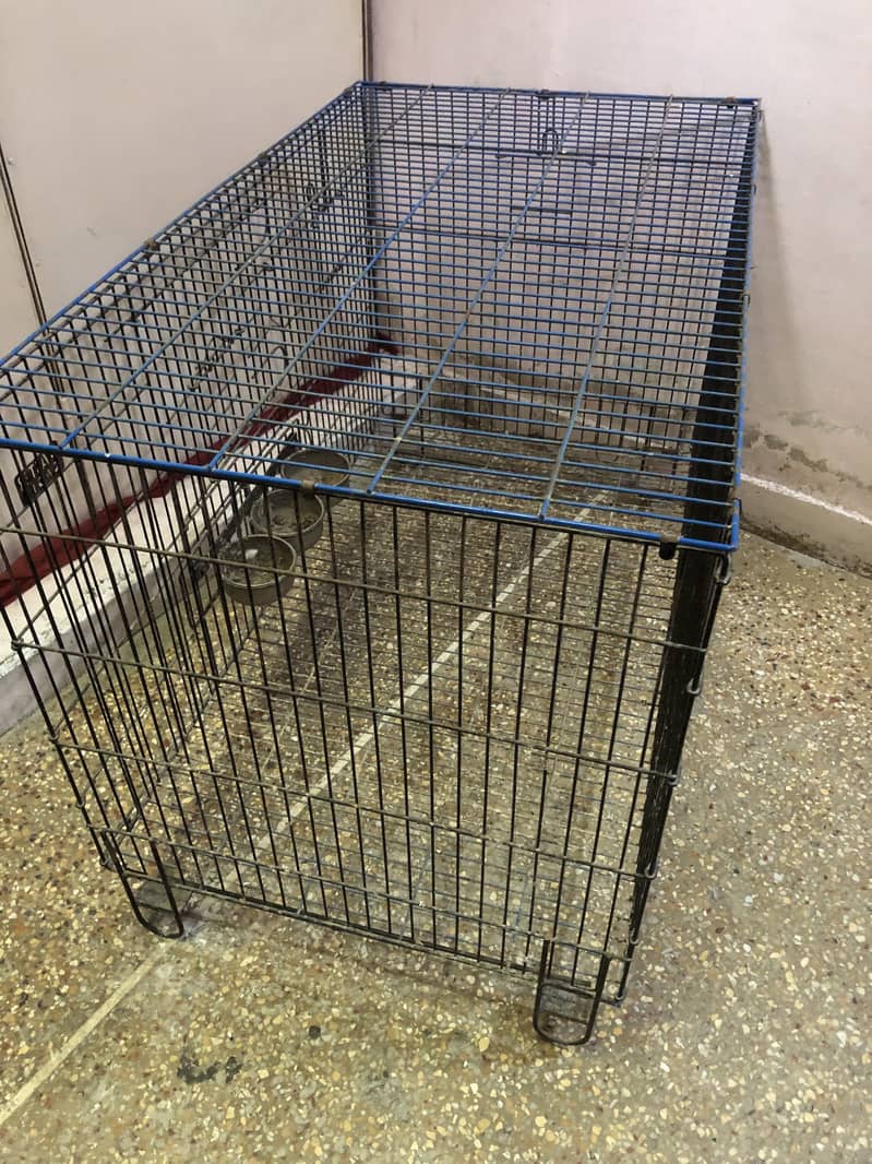 Master Cage 3