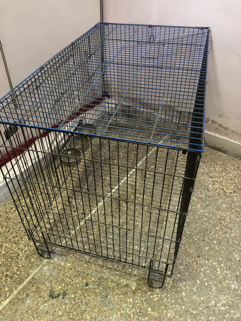 Master Cage — photo 4